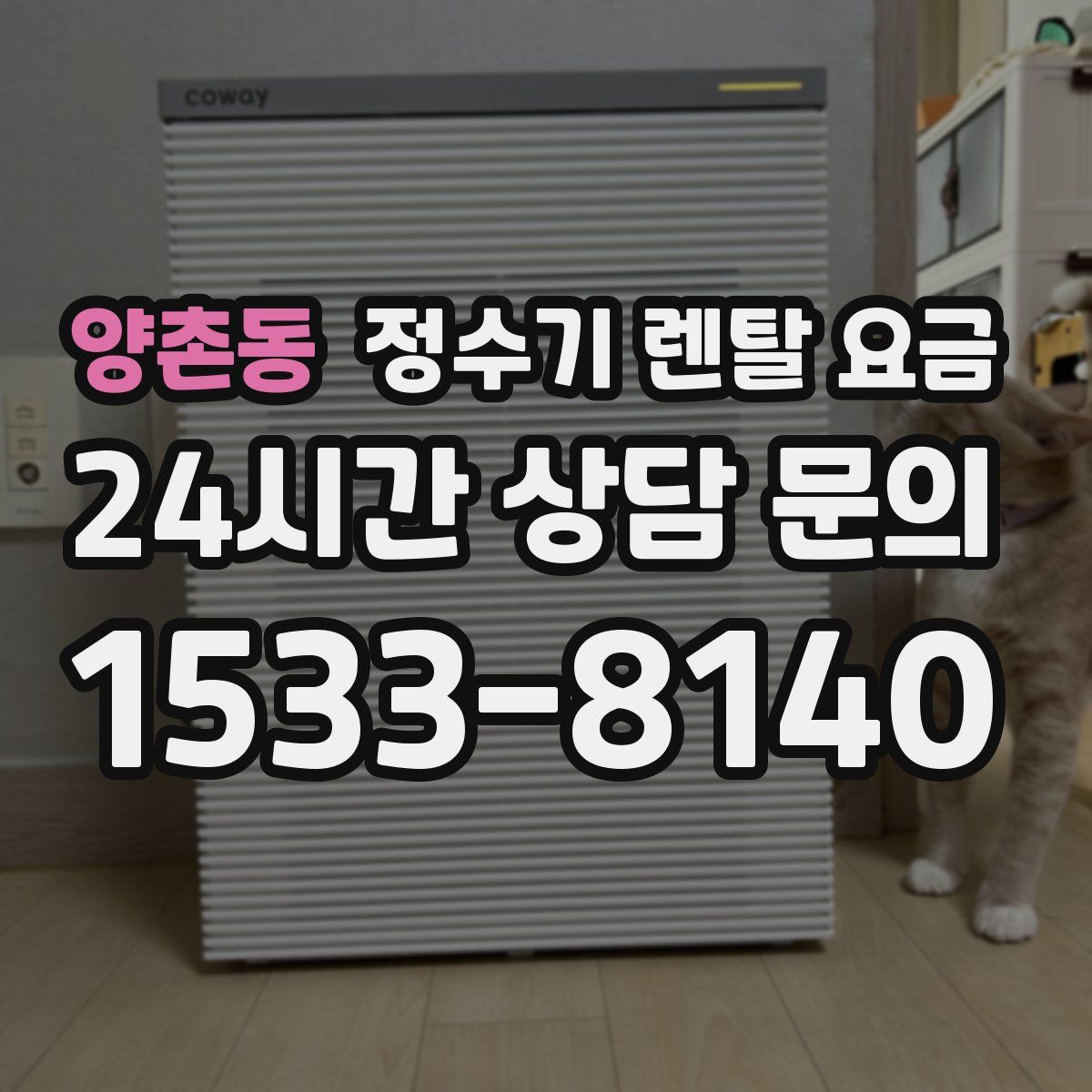 양촌동 정수기 렌탈 요금