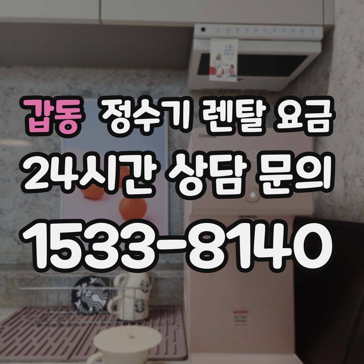 갑동 정수기 렌탈 요금