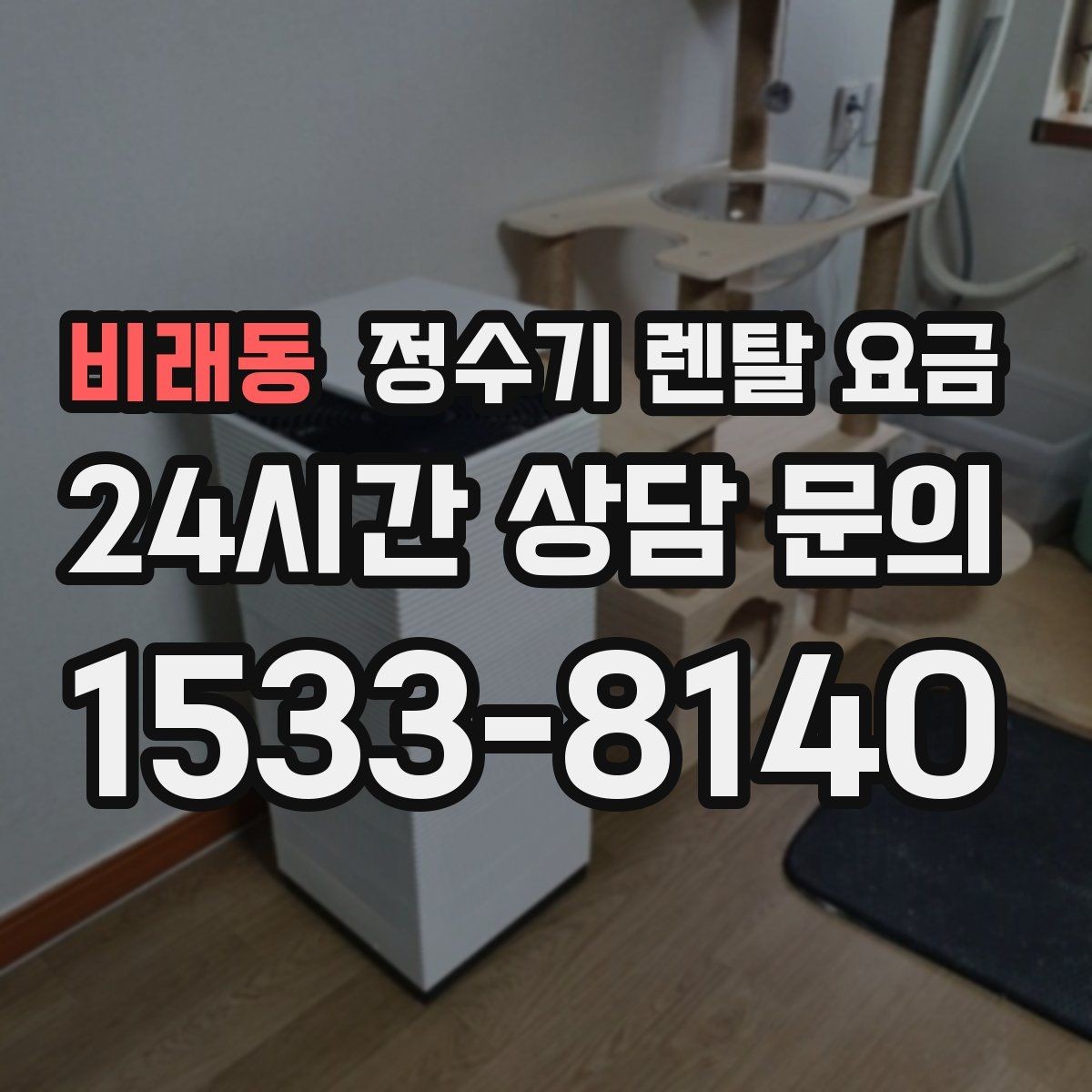 비래동 정수기 렌탈 요금 위생 민감한 집의 선택 기준 정리