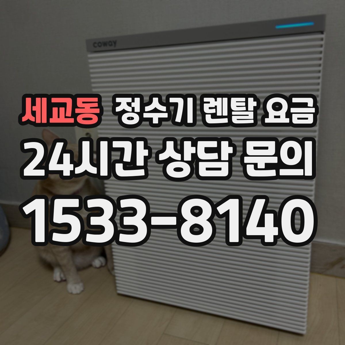 세교동 정수기 렌탈 요금 신혼부부에게 적합한 모델 선택법