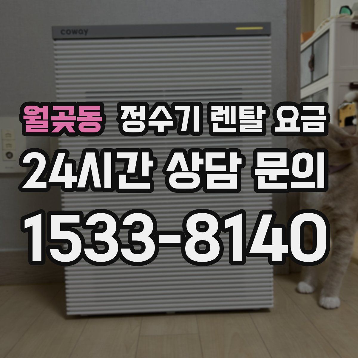 월곶동 정수기 렌탈 요금