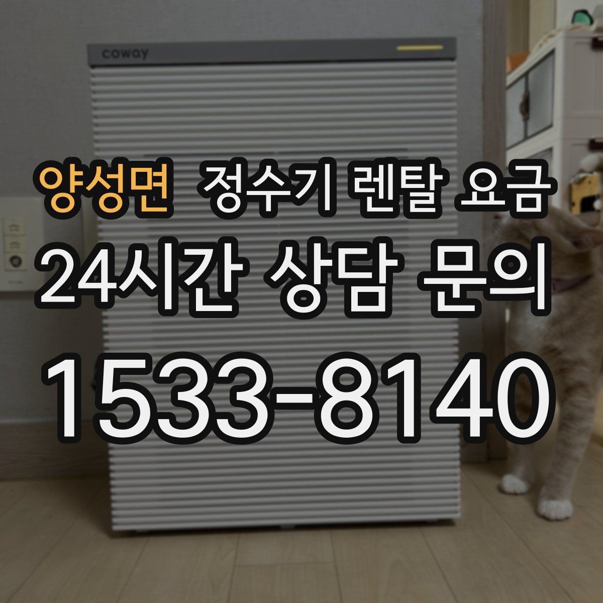 양성면 정수기 렌탈 요금 비교 시간을 줄이는 방법