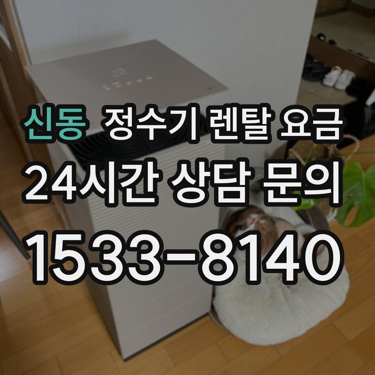 신동 정수기 렌탈 요금
