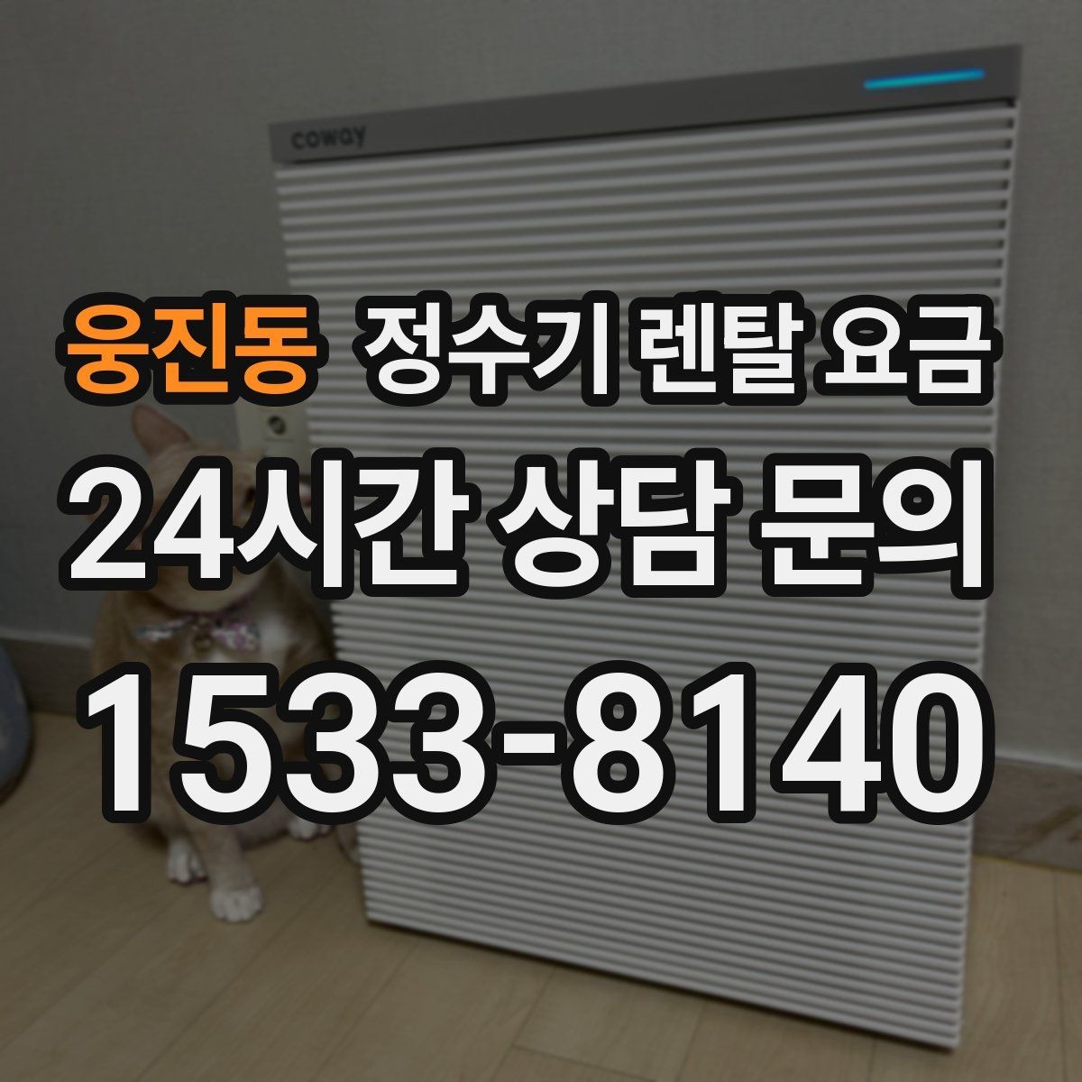웅진동 정수기 렌탈 요금 관리 서비스 포함 여부 확인 방법