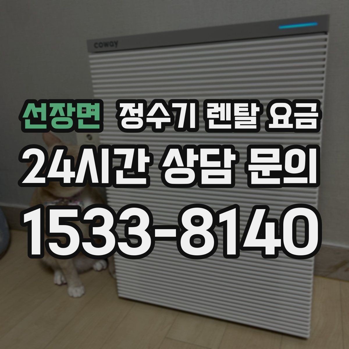선장면 정수기 렌탈 요금 위생 기능이 중요한 이유