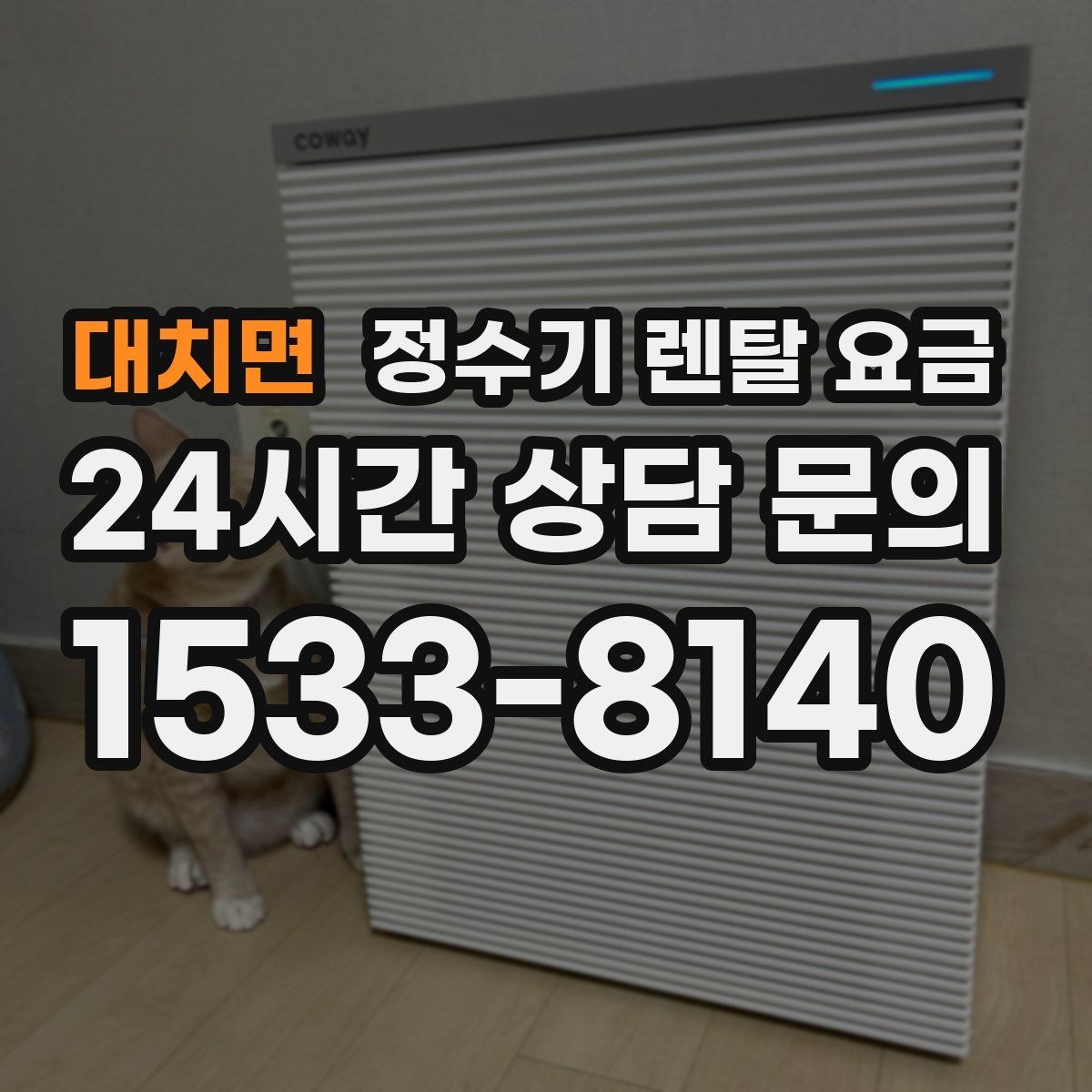 대치면 정수기 렌탈 요금 보급형으로도 충분한 집의 특징
