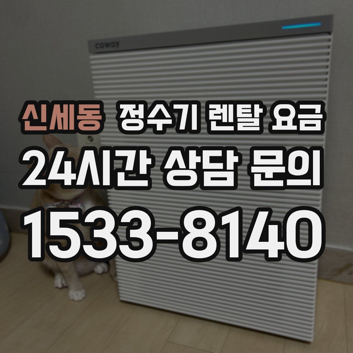 신세동 정수기 렌탈 요금
