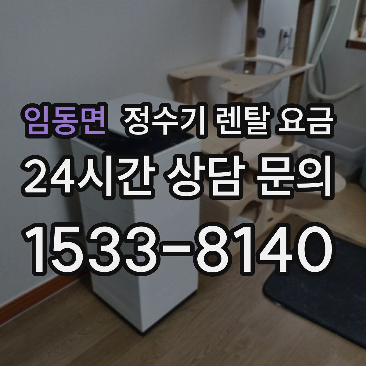 임동면 정수기 렌탈 요금