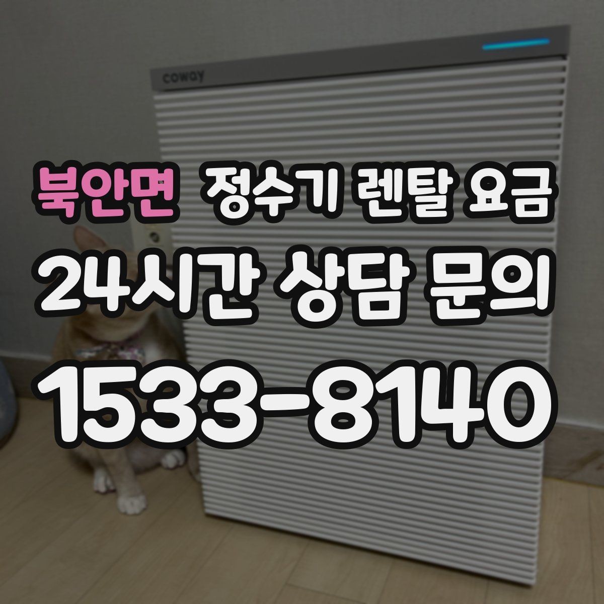 북안면 정수기 렌탈 요금 다양한 제품 중 고르는 방법