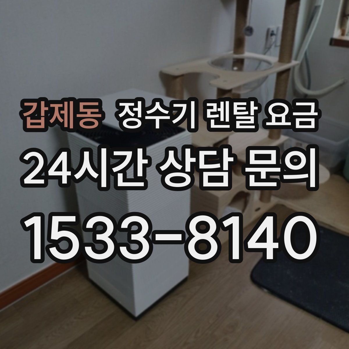 갑제동 정수기 렌탈 요금