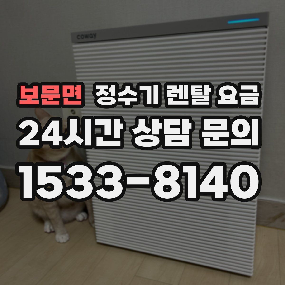 보문면 정수기 렌탈 요금 후기 볼 때 체크하면 좋은 포인트