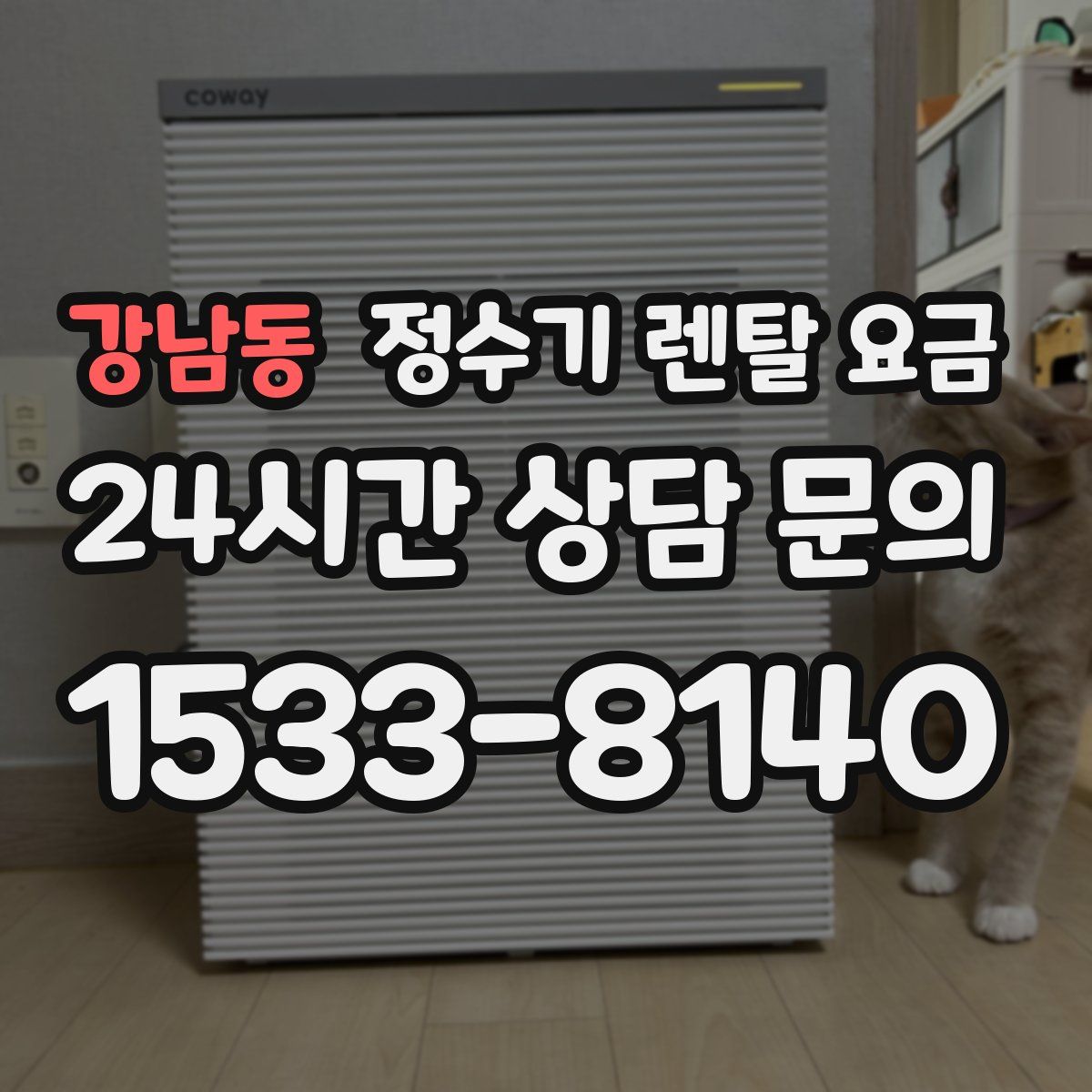 강남동 정수기 렌탈 요금