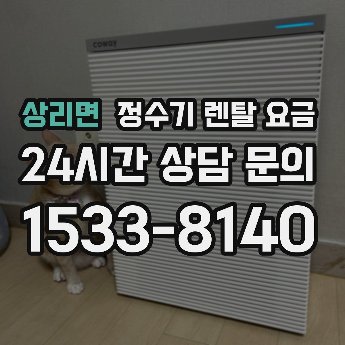 상리면 정수기 렌탈 요금 다양한 조건 속 선택 방법