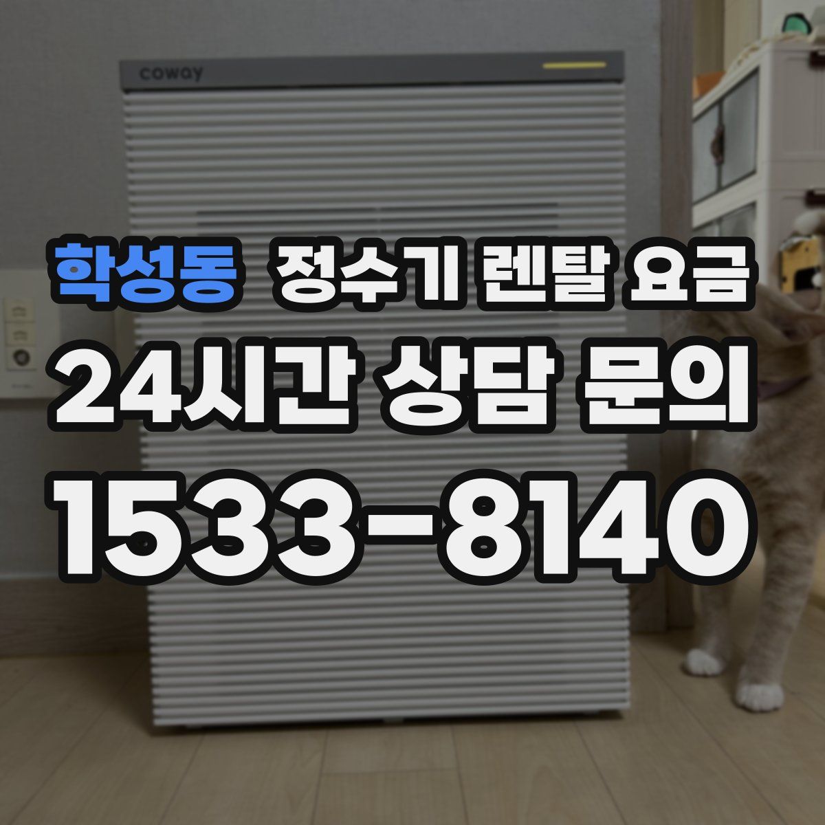 학성동 정수기 렌탈 요금