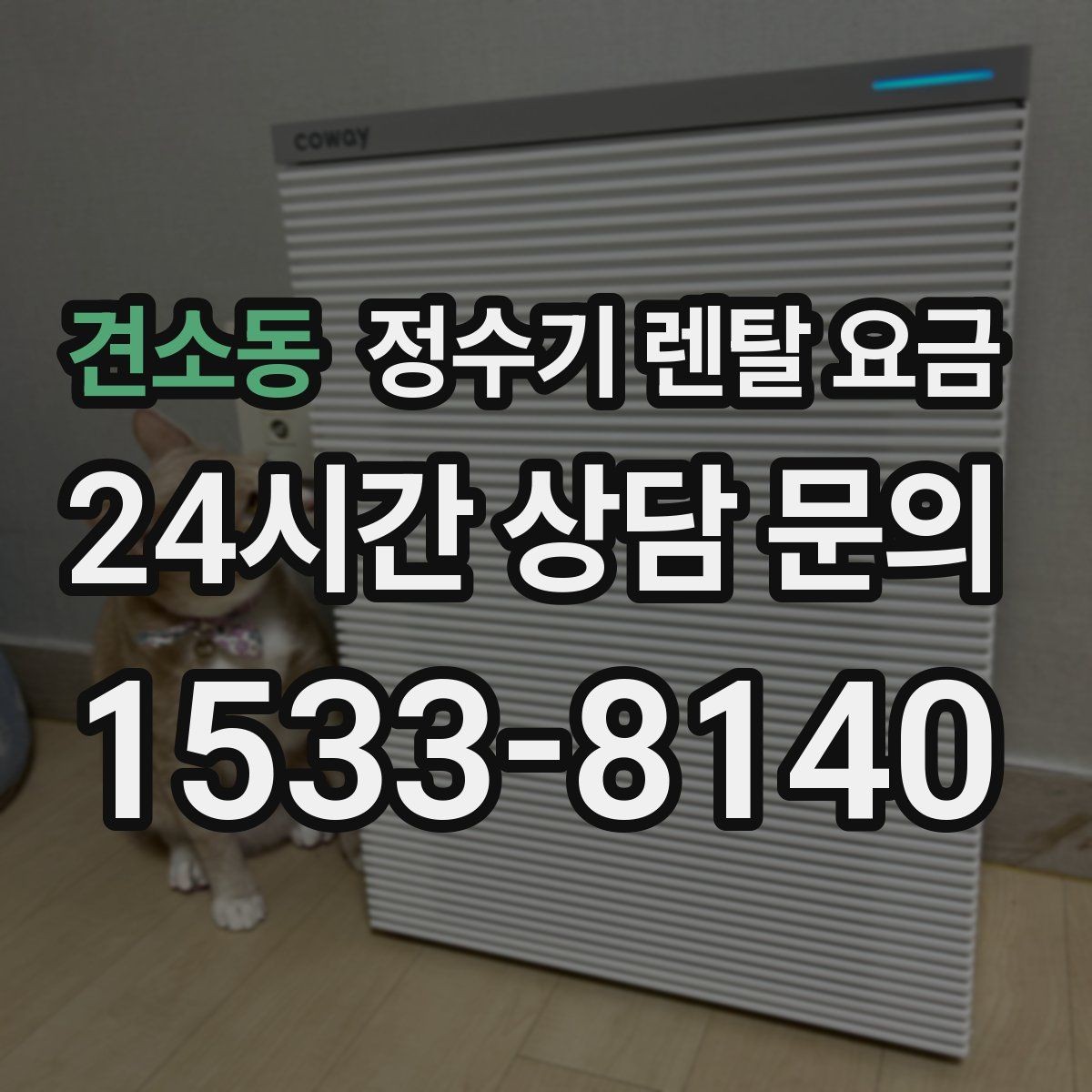 견소동 정수기 렌탈 요금 상담 전에 정리해두면 좋은 질문