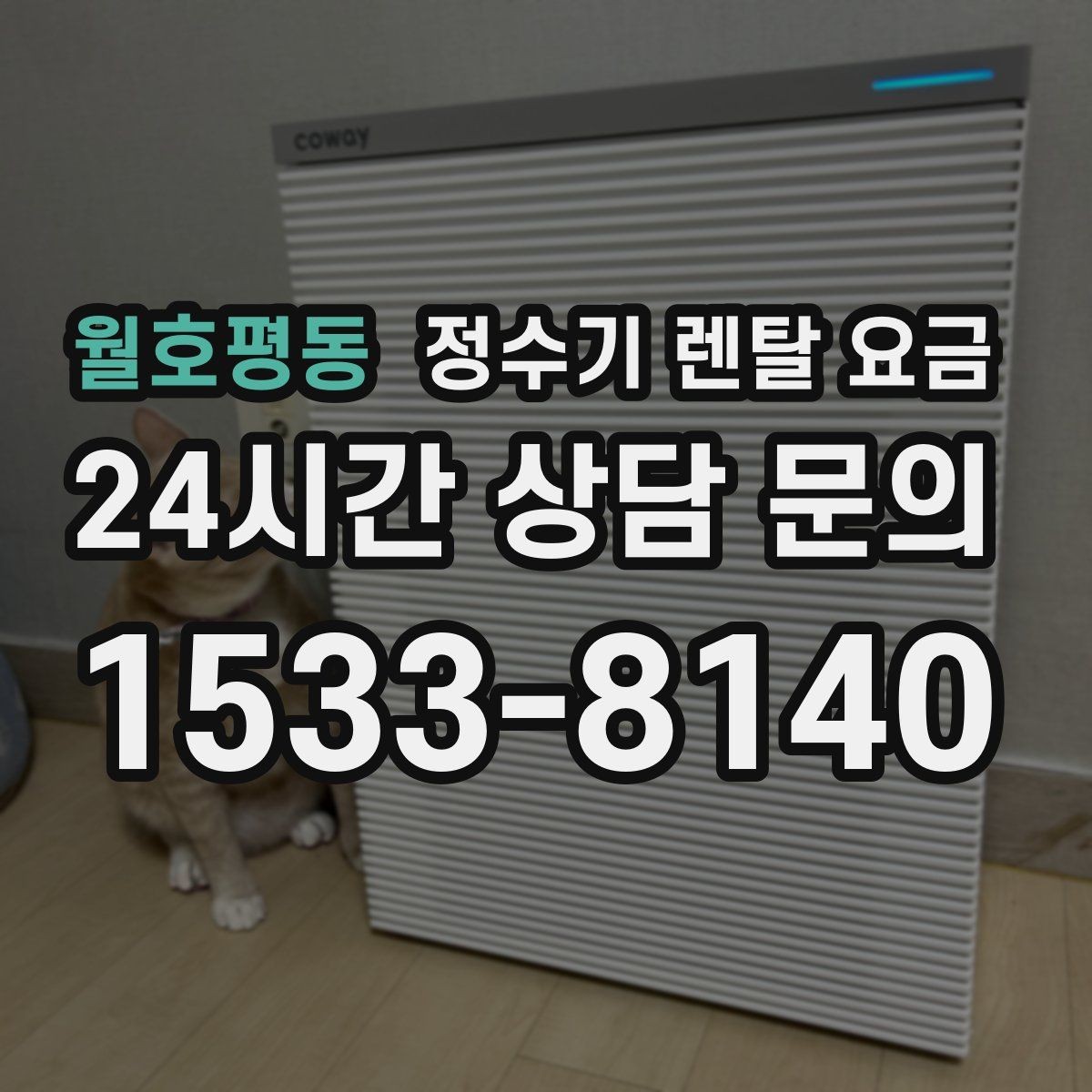 월호평동 정수기 렌탈 요금 월초와 월말 설치 차이