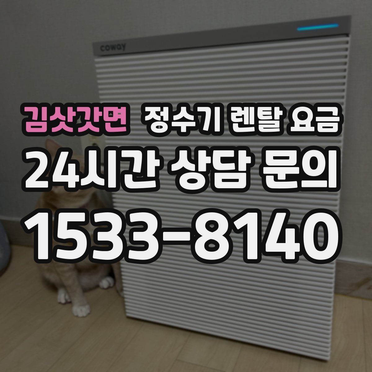 김삿갓면 정수기 렌탈 요금 리뷰 비교 시 주의할 점