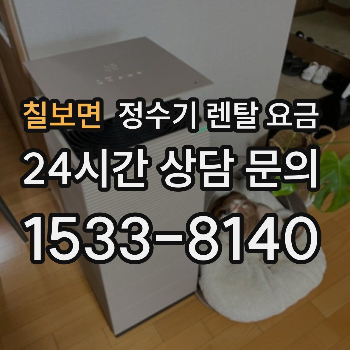 칠보면 정수기 렌탈 요금 실제 사용 기준으로 비교하는 방법