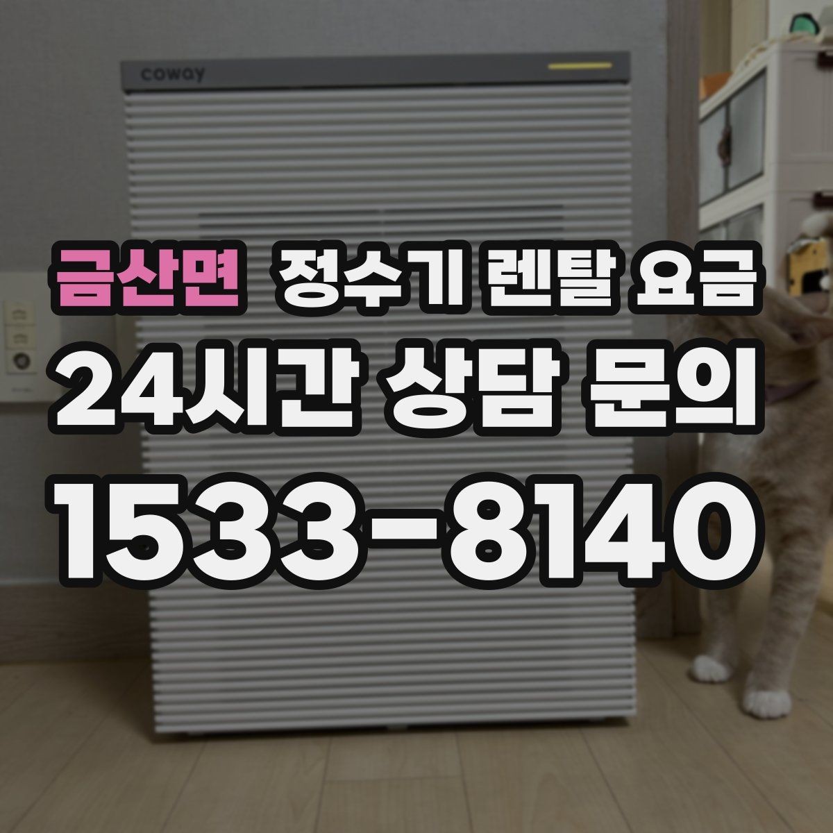 금산면 정수기 렌탈 요금 싱크대 위 설치형과 스탠드형 비교