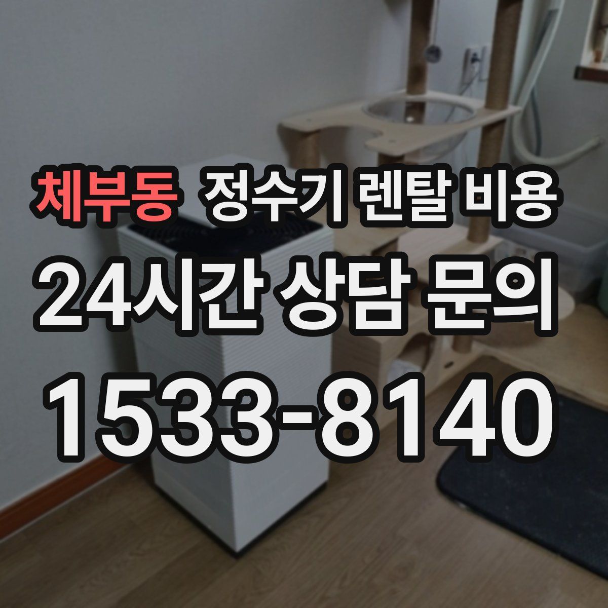 체부동 정수기 렌탈 비용