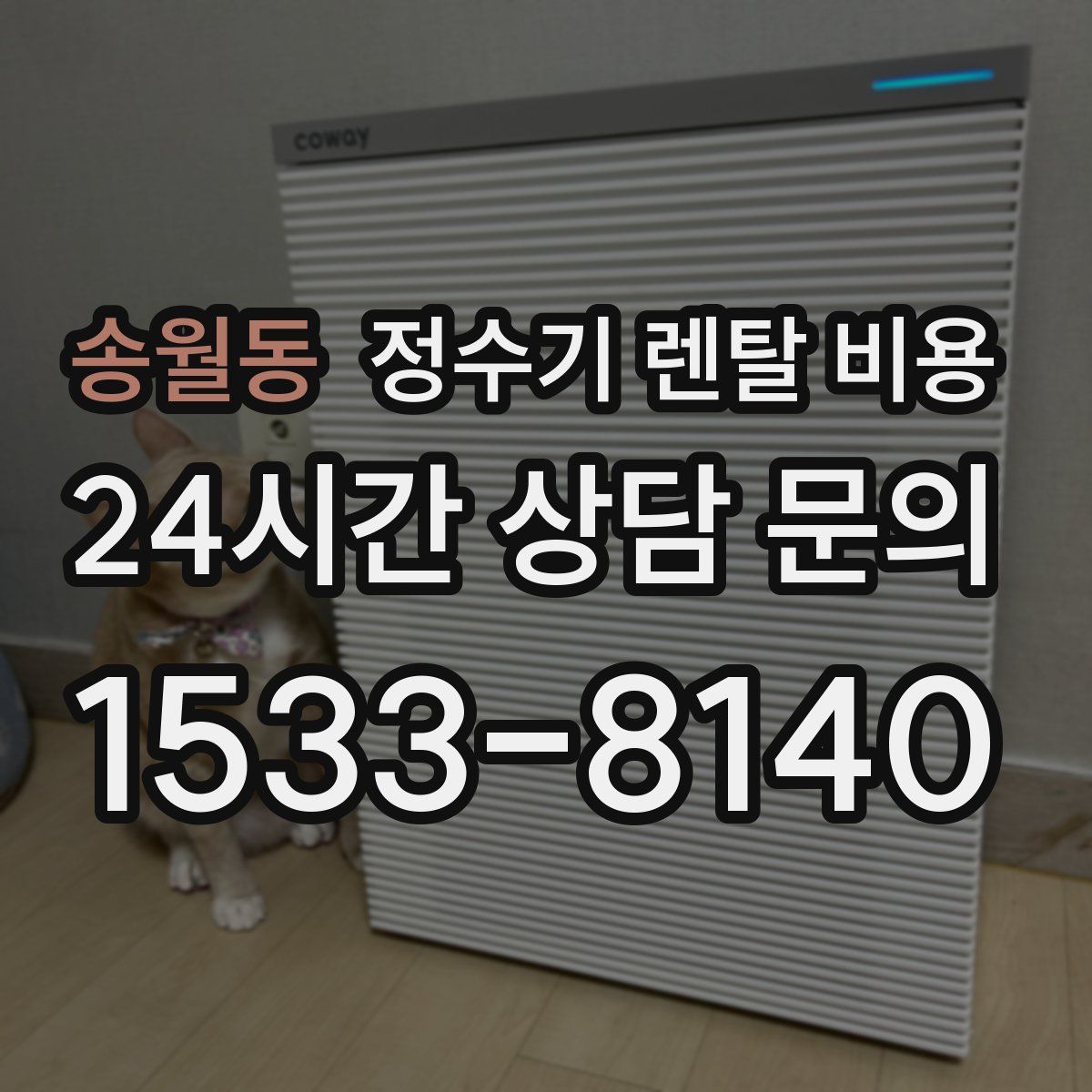 송월동 정수기 렌탈 비용