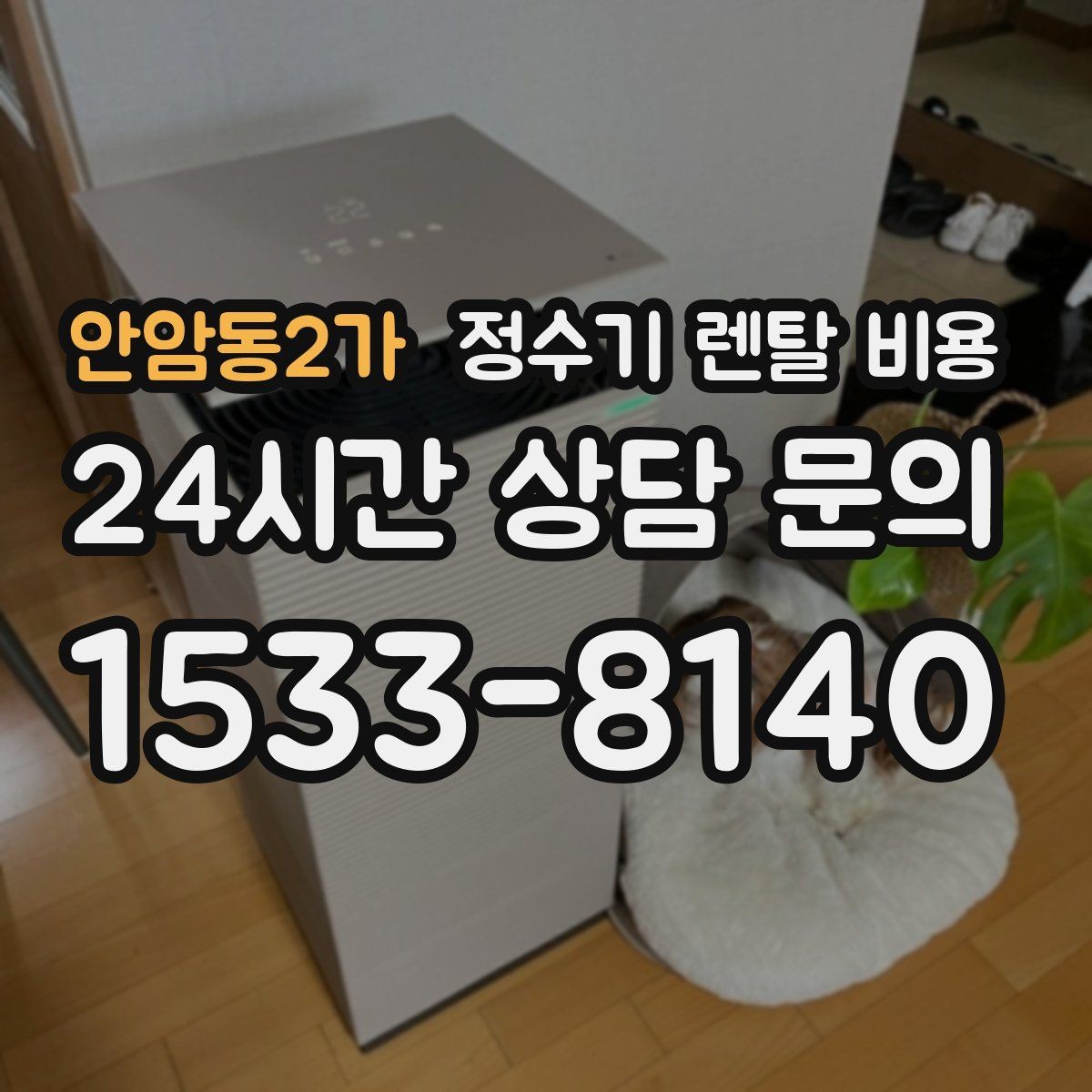 안암동2가 정수기 렌탈 비용 렌탈과 구매 중 무엇이 더 나을까