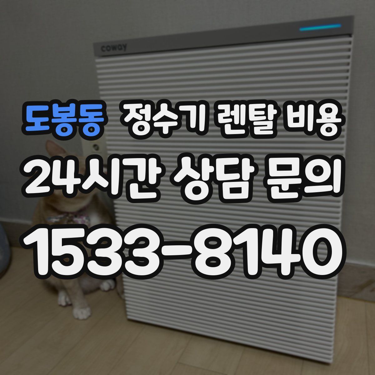 도봉동 정수기 렌탈 비용