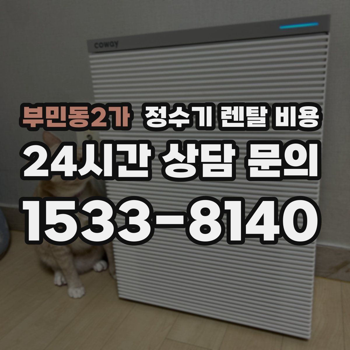 부민동2가 정수기 렌탈 비용 정수 전용이 더 나은 경우 정리