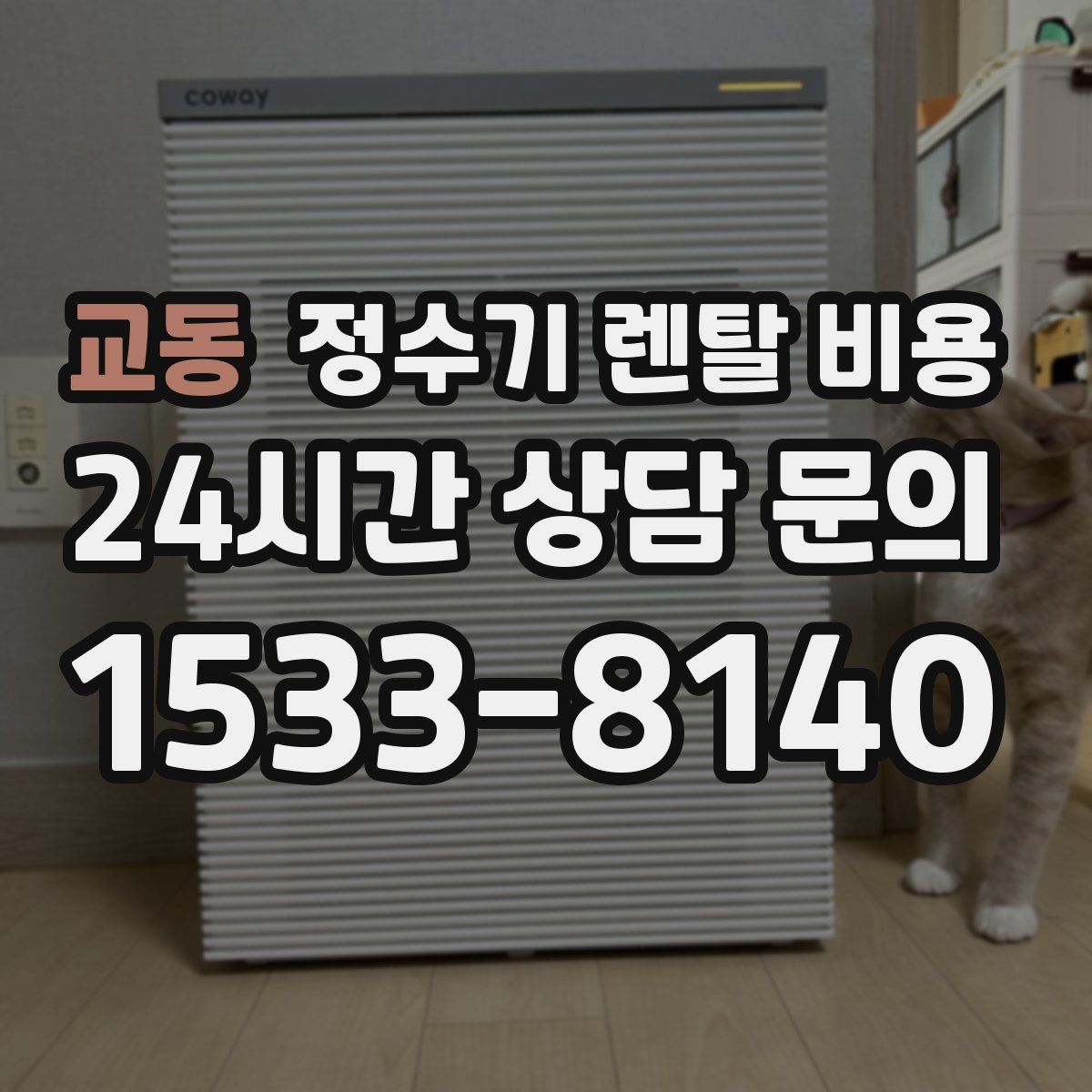 교동 정수기 렌탈 비용