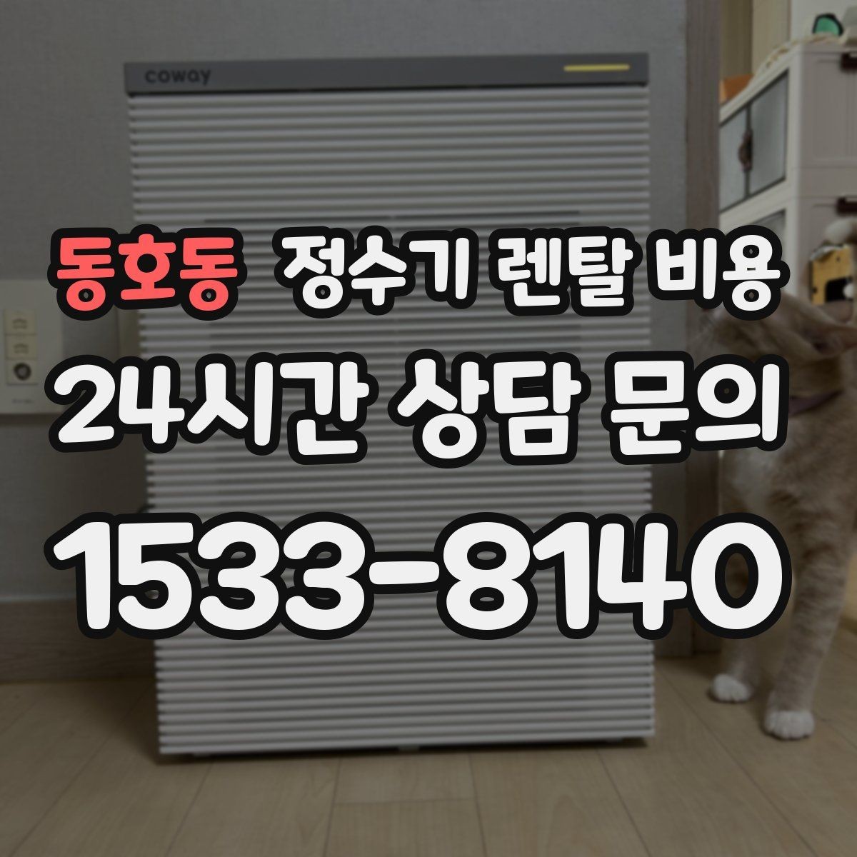 동호동 정수기 렌탈 비용 온수 기능이 필요한 집과 아닌 집