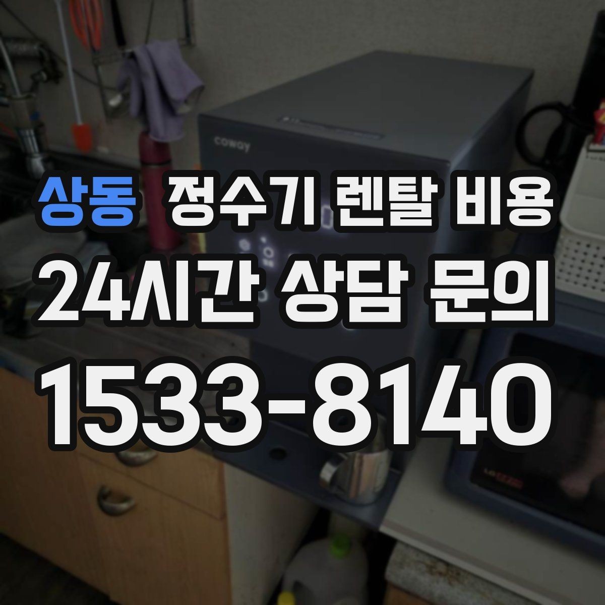상동 정수기 렌탈 비용 얼음 기능이 있는 모델의 특징