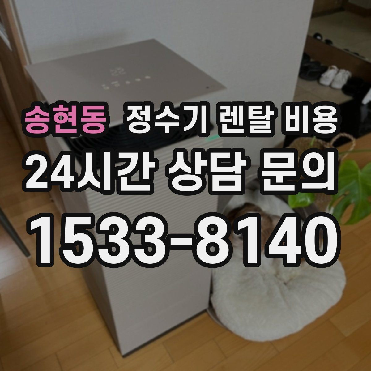 송현동 정수기 렌탈 비용 처음 선택 시 실수 줄이는 방법