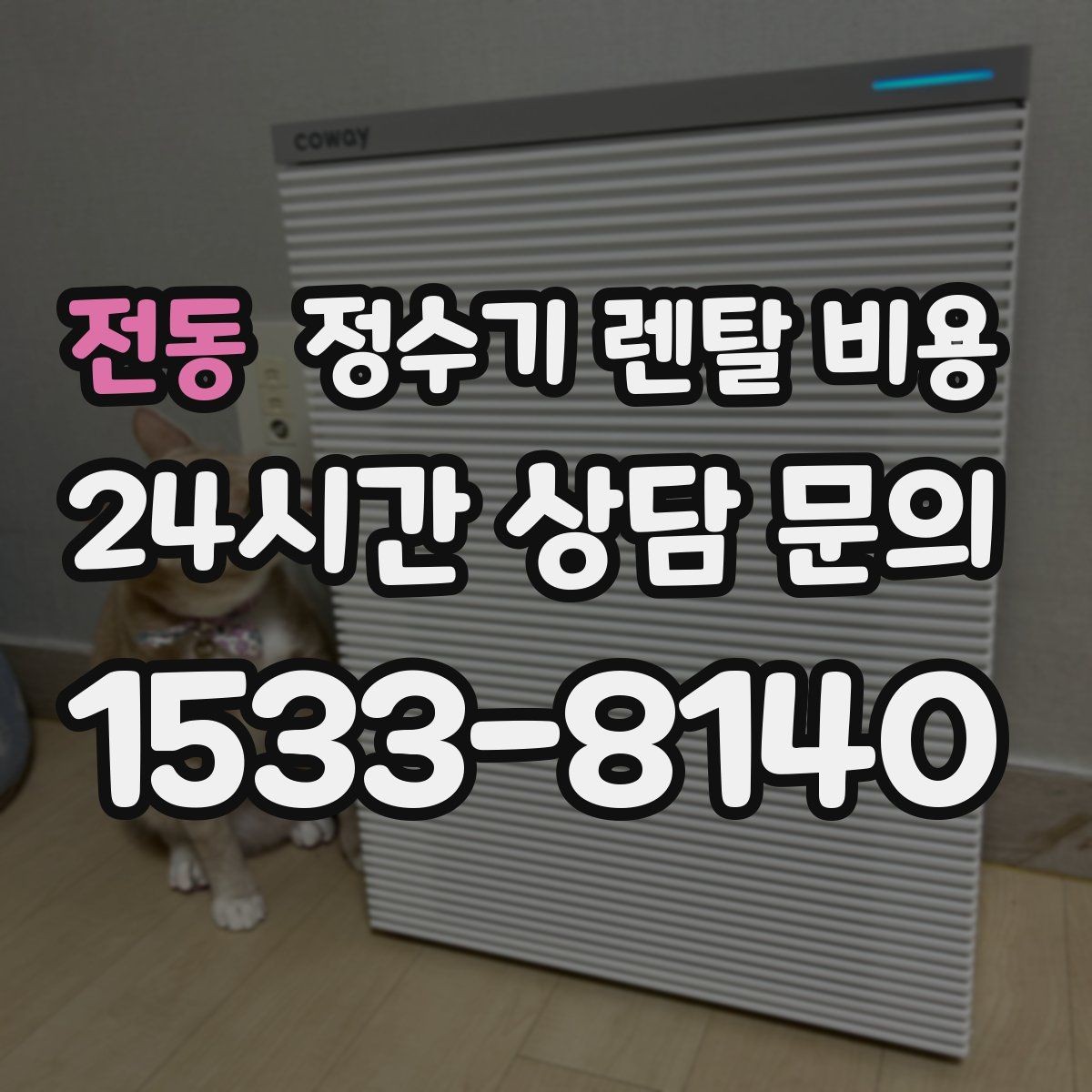 전동 정수기 렌탈 비용 사무실용 선택 기준 정리