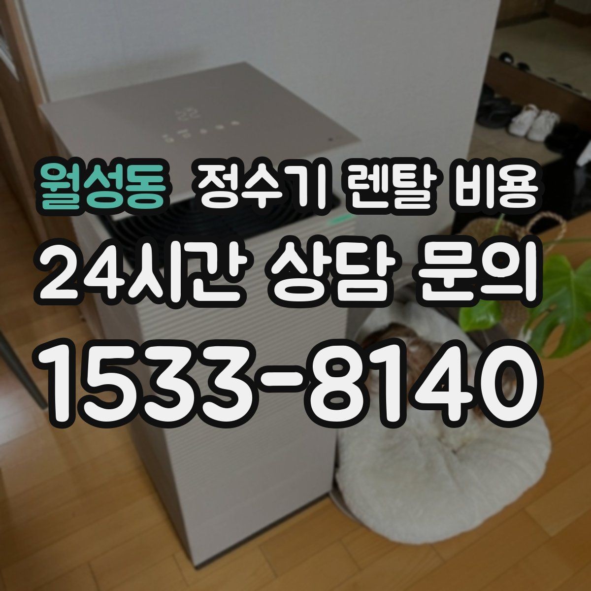 월성동 정수기 렌탈 비용 전문 설치가 필요한 이유
