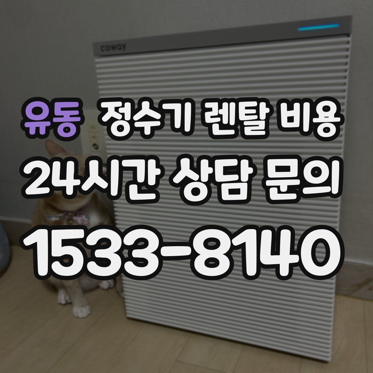 유동 정수기 렌탈 비용