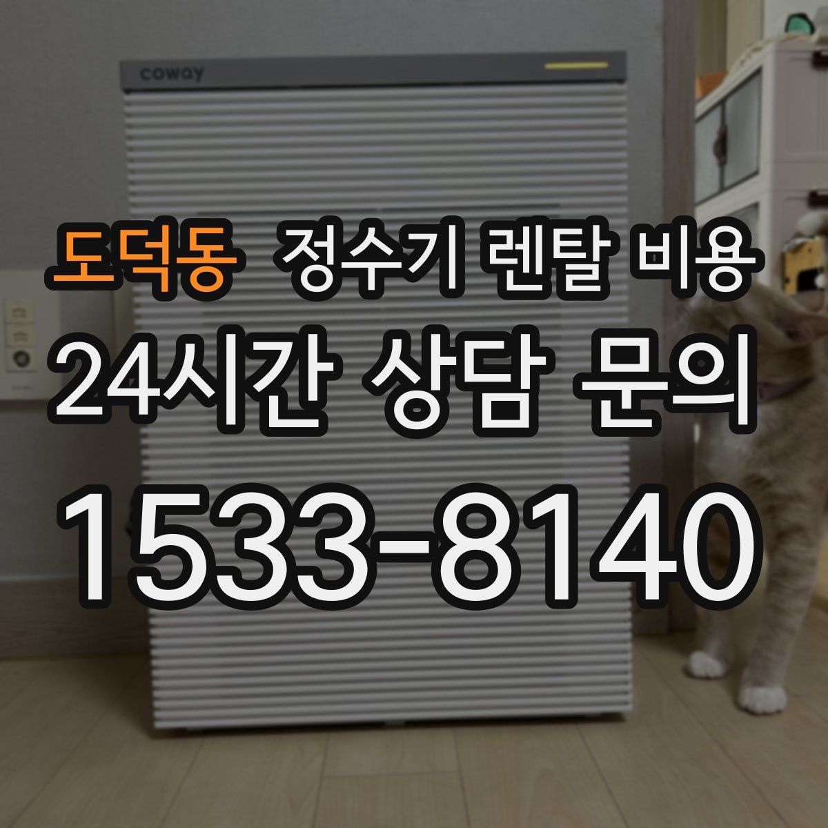 도덕동 정수기 렌탈 비용