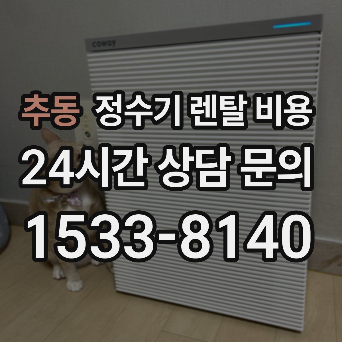 추동 정수기 렌탈 비용 탄산 기능까지 있으면 어떻게 달라질까