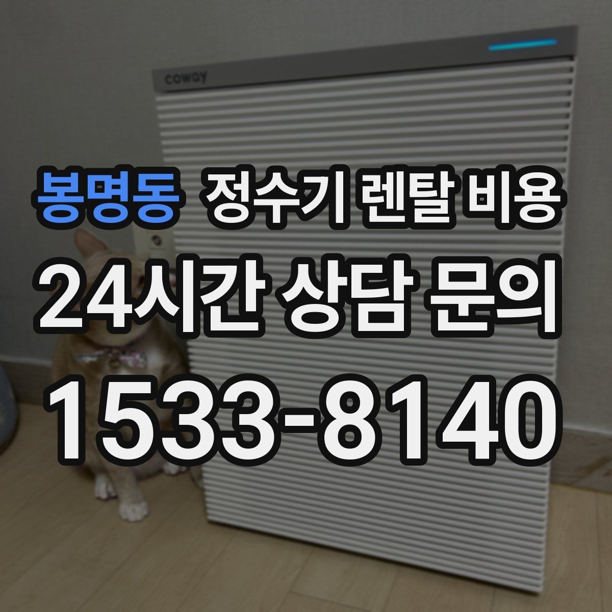 봉명동 정수기 렌탈 비용 카드 없이 비교해야 하는 이유