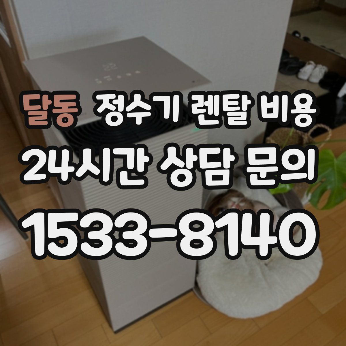 달동 정수기 렌탈 비용