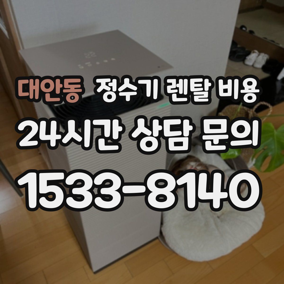 대안동 정수기 렌탈 비용