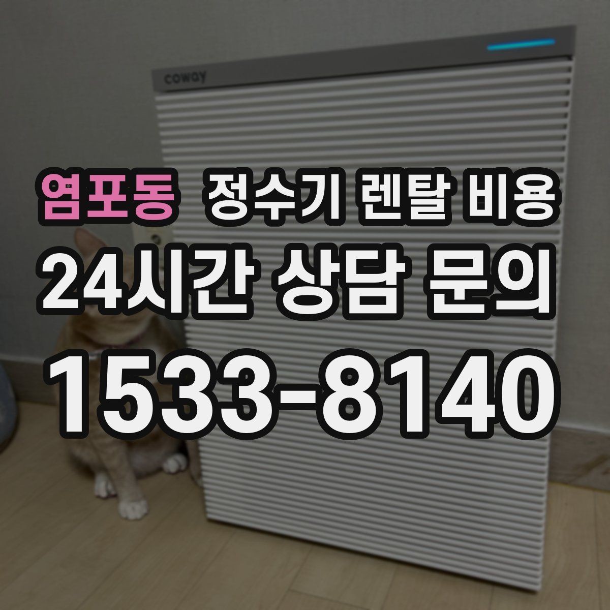염포동 정수기 렌탈 비용 싱크대형과 스탠드형 비교