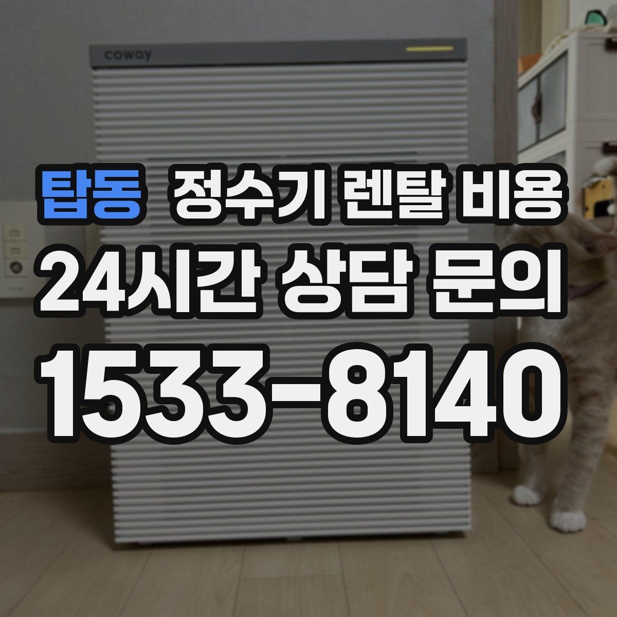 탑동 정수기 렌탈 비용 카드 할인 적용 시 주의할 점