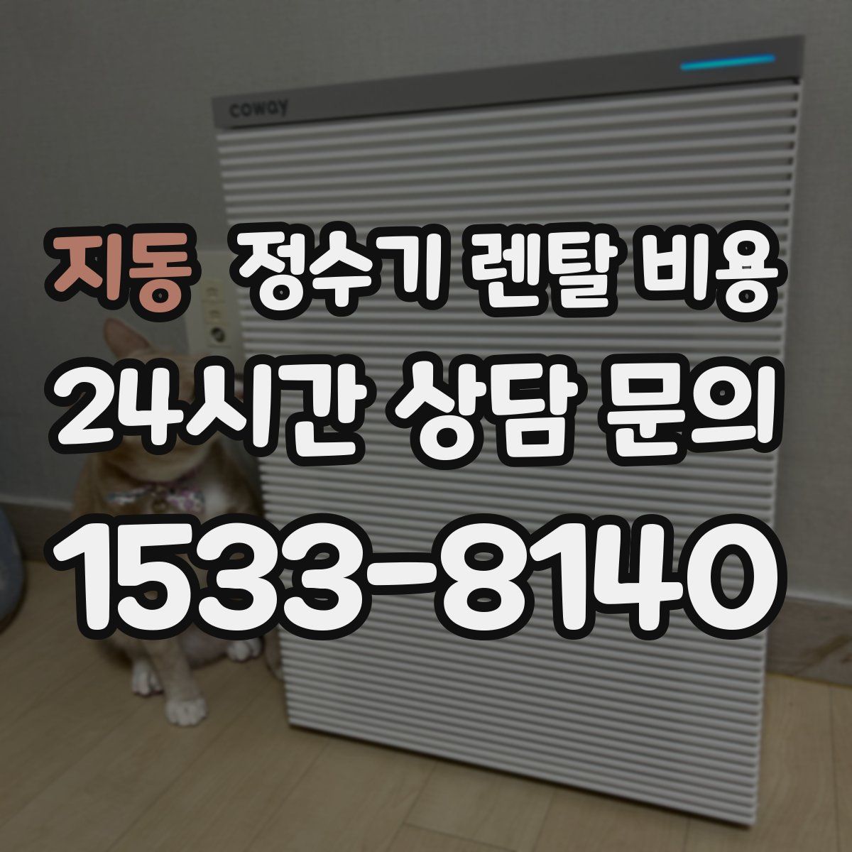 지동 정수기 렌탈 비용