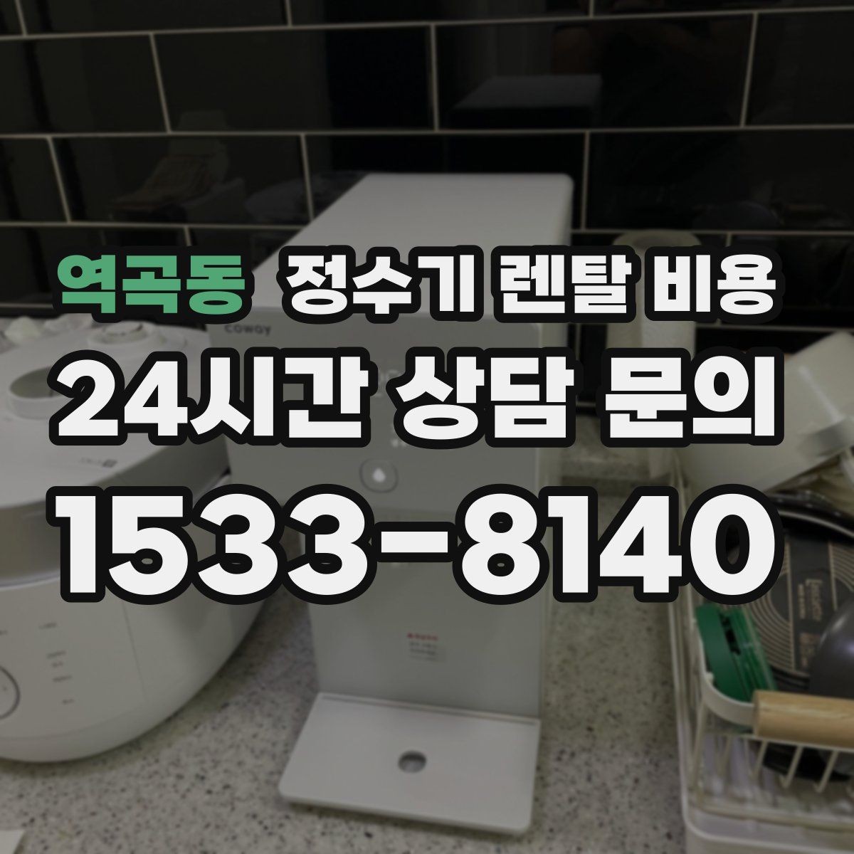 역곡동 정수기 렌탈 비용 얼음 기능이 있는 모델의 특징