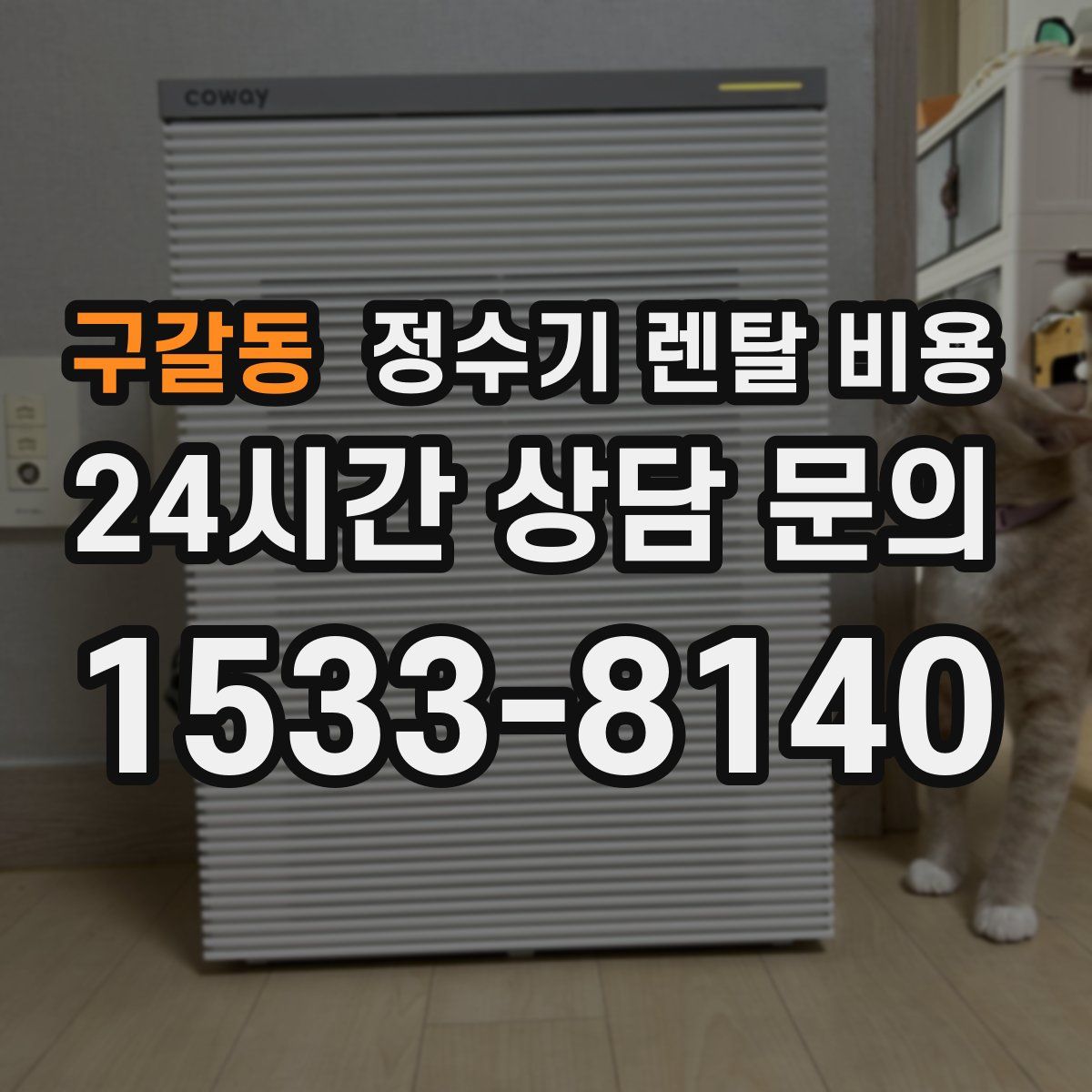 구갈동 정수기 렌탈 비용