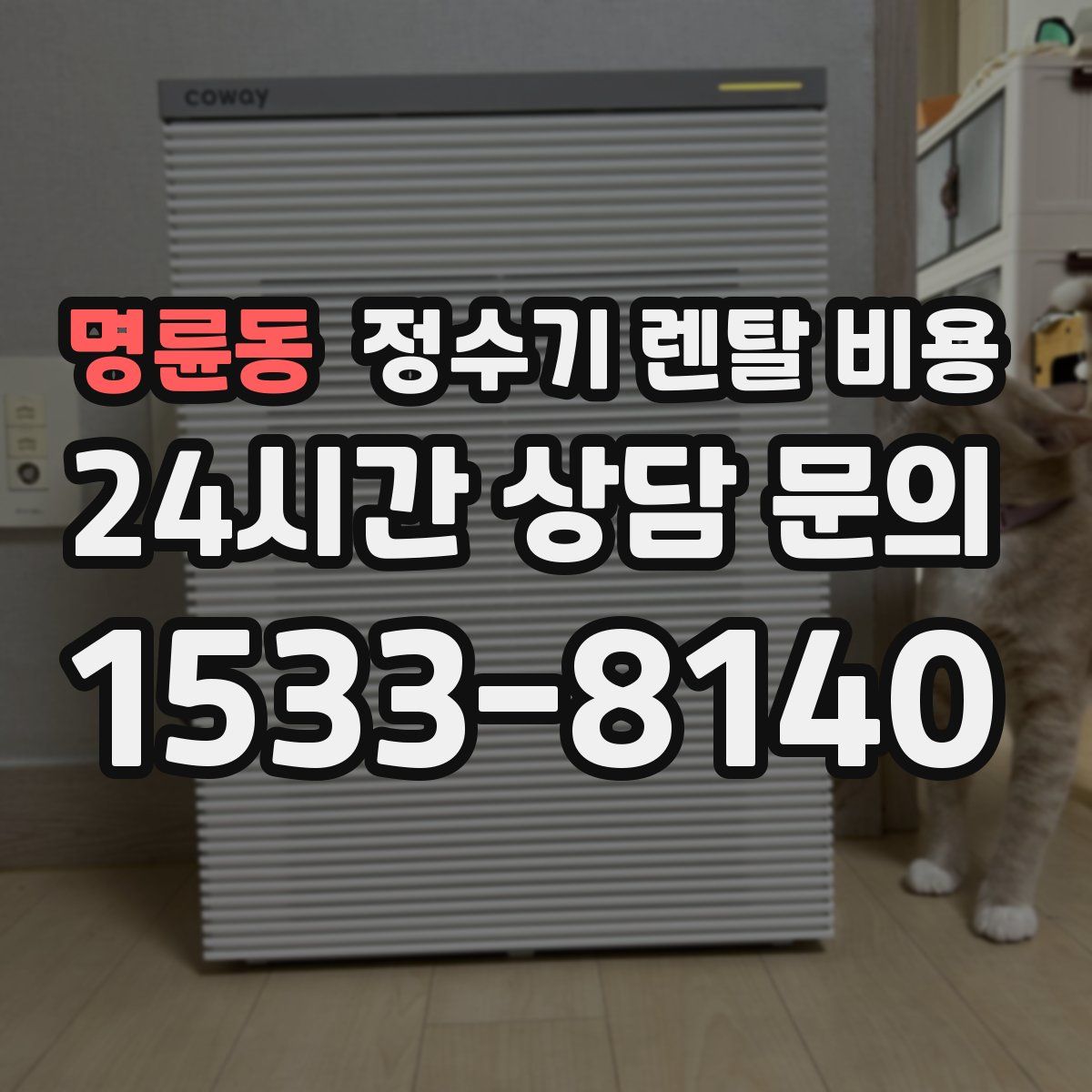 명륜동 정수기 렌탈 비용