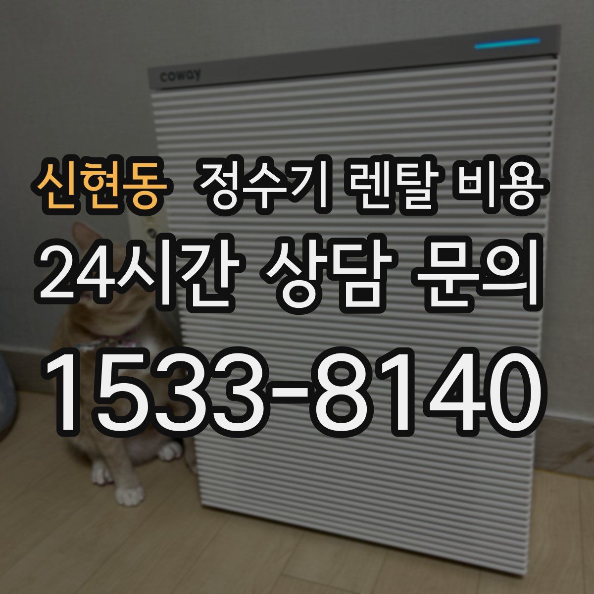 신현동 정수기 렌탈 비용