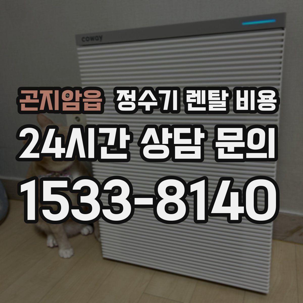 곤지암읍 정수기 렌탈 비용 물 사용량이 많은 집의 선택 기준