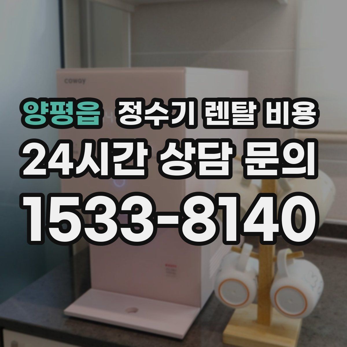 양평읍 정수기 렌탈 비용 셀프 설치가 어려운 이유는 무엇일까