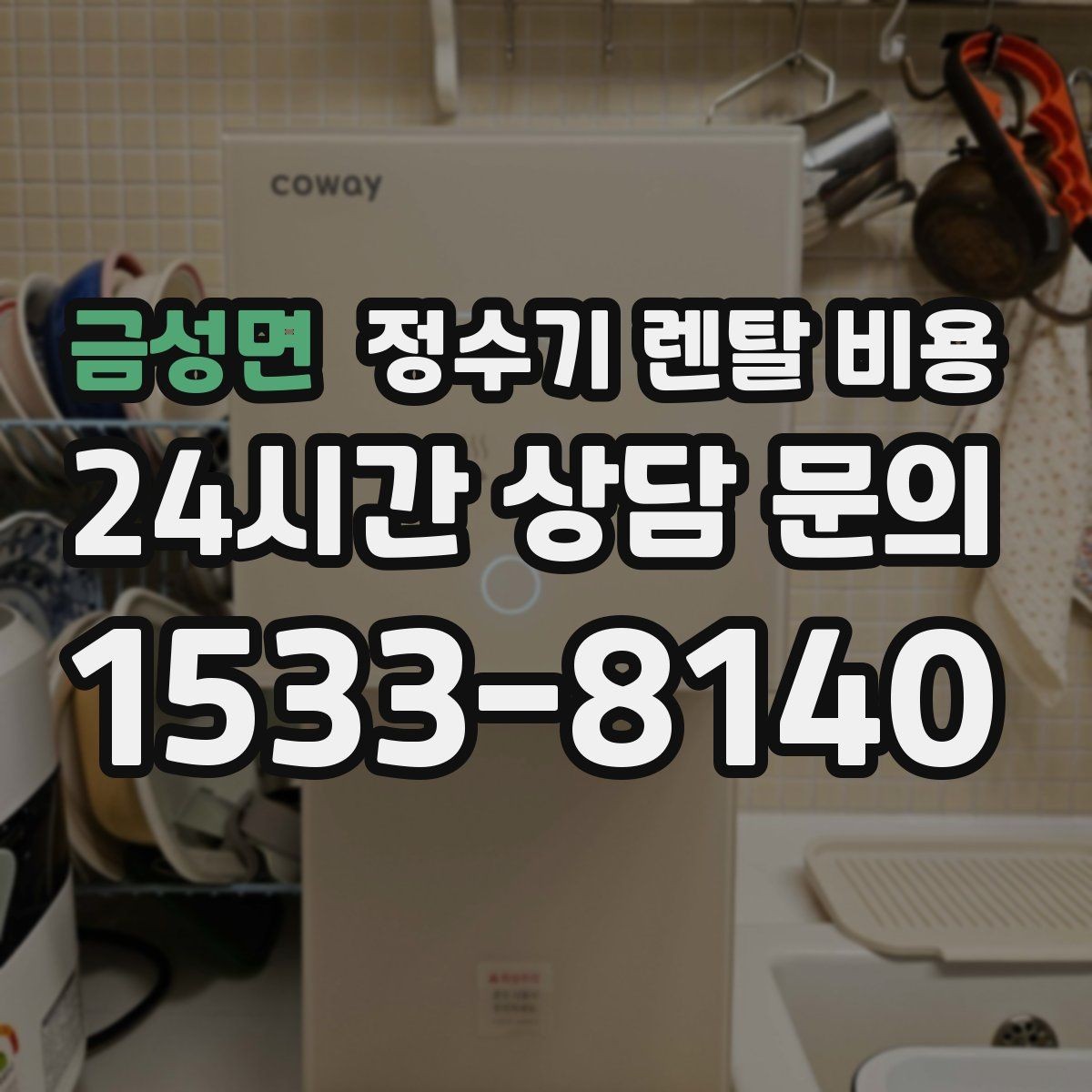 금성면 정수기 렌탈 비용 필요한 기능만 선택하는 방법